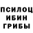 Псилоцибиновые грибы Psilocybe Karakata Sofka