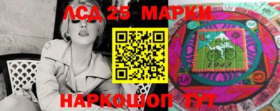 мдпв Гатчина