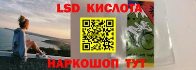 амф Гай