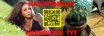 мдпв Гатчина