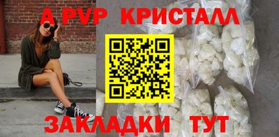 амф Гай