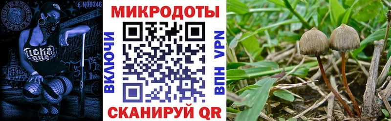 Псилоцибиновые грибы прущие грибы  Мегион 