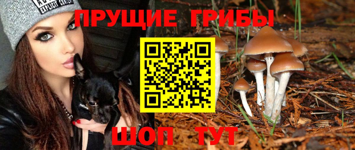Галлюциногенные грибы ЛСД  Вход с VPN  Мегион 