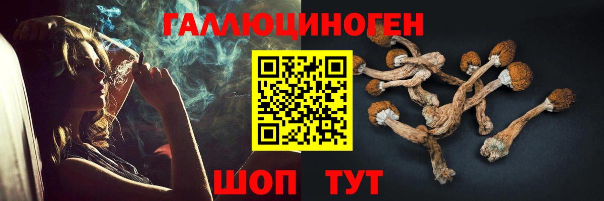Псилоцибиновые грибы GOLDEN TEACHER Мегион